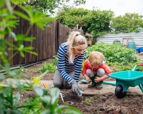 A shot of a young toddler boy and his pregnant mother in a community garden. They are wearing casual clothing and are kneeling and looking at something in the soil.